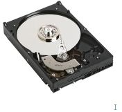 Western Digital WD1600YS-RFB